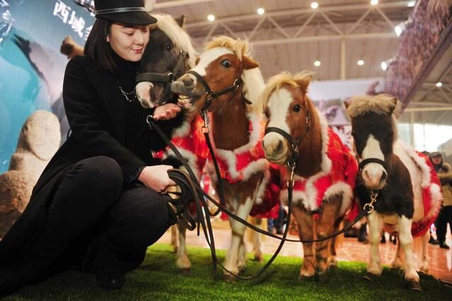 圖片關(guān)鍵詞 圖片關(guān)鍵詞